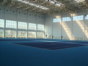 中学网球场 网球场施工 中学网球场施工